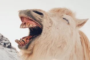 Il potere di una risata